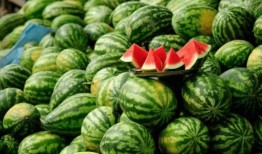 网红吃瓜q群免费,揭秘娱乐圈幕后故事，免费畅享八卦盛宴